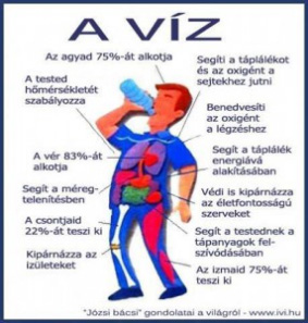 ferfiak es az aviva 01